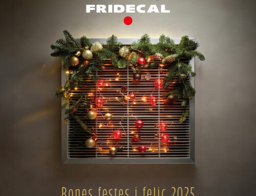 Bones festes i feliç 2025