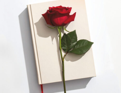 Bona diada de Sant Jordi!