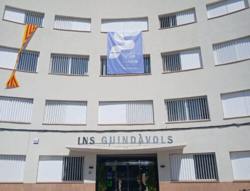 Guindàvols Skills 2026